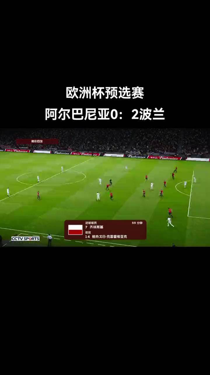 阿尔巴尼亚人名单出炉欧预赛风波将至关临的简单介绍
