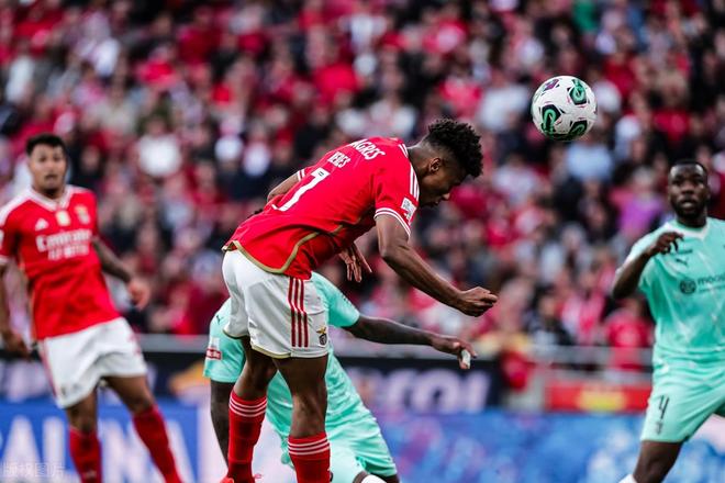 包含阿贾克斯逆转战胜对手,淘汰赛之路越发坚定的词条 包含阿贾克斯逆转战胜对手,淘汰赛之路越发坚定的词条